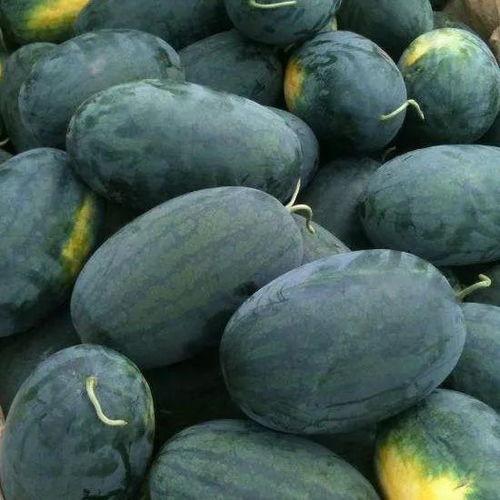 今日黑瓜吃料最新消息,揭秘娱乐圈幕后真相