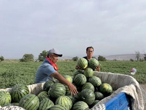 国产吃瓜黑料一区91,揭秘娱乐圈背后的真相与争议